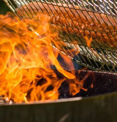 Roasty-Boss: a durable and versatile BBQ grill | Kirami