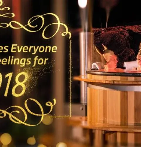 We thank all our customers, business partners and employees for the past year and wish you a happy new year 2018!