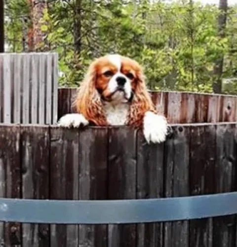 Recycle your old hot tub correctly | Kirami