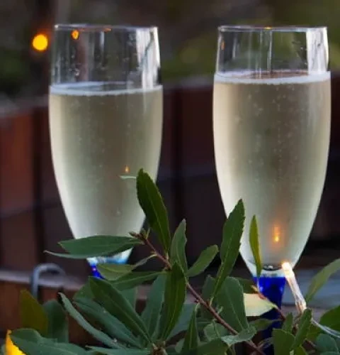 Tranquil times in the tub | Kirami