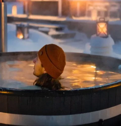 Wild Blueberry | You can admire the northern lights from the hot tub | Kirami