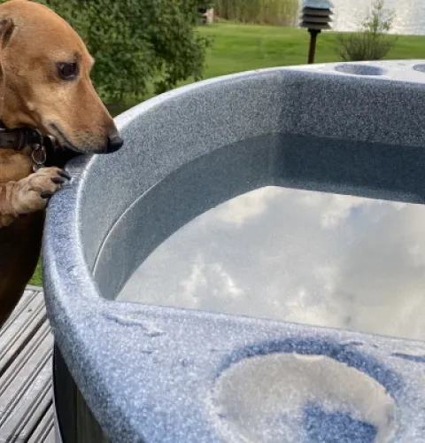 A hot tub makes dogs happy, too! | Kirami