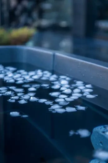 Comfort BlackIce S - BlackLeather, gray